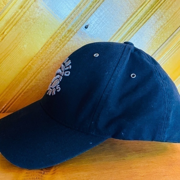 American Needle Nba Toronto Raptors SnapBack Cap - Picture 2 of 3